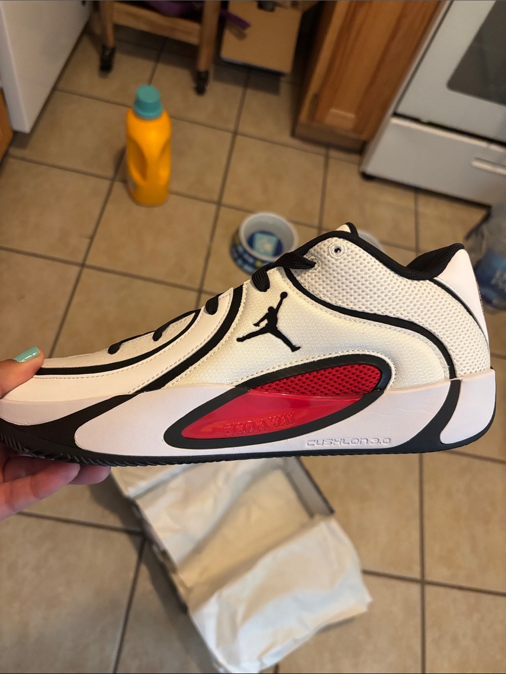 Jordan Men’s White Black Red Low-Top Sneakers